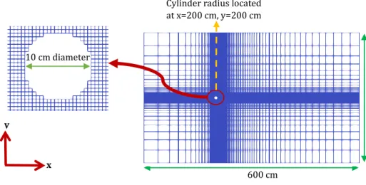 Figure 5-1. The coarse mesh (120x80) and dimensions used to simulate Case 2.   