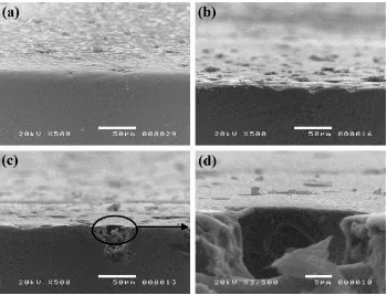 Figure 3. SEM micrographs for the Alpolarization exceeded the breakdown potential (>1.25 VFigure 3.xCrFe1.5MnNi0.5 alloys with varying amounts of aluminum content (a) x = 0; (b) x = 0.3 mol, (c) x = 0.5 mol; (d) higher magnification of micrograph (c) after