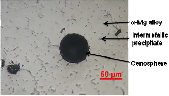 Figure 6. Optical micrograph of AZ91D/fly ash cenosphere composite showing intermetallic precipitates in primary magnesium matrix