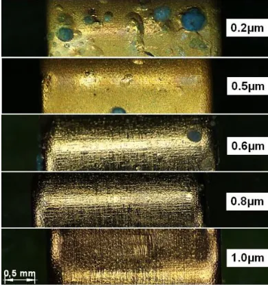 Figure 14. Gold coating with a thickness of 0.2–1.0 µm after exposure to nitric vapor for 75 min