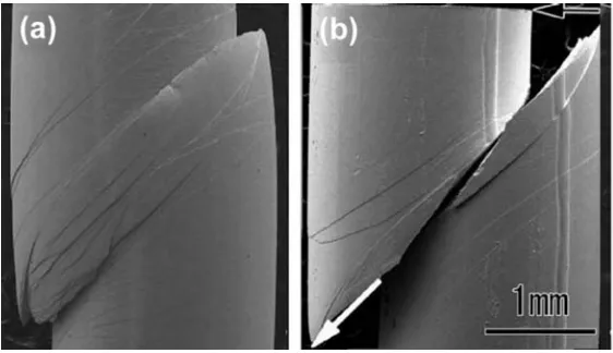 Figure 3. Two regimes of deformation observed in metallic glasses: ((a) relatively homogeneous deformation with many shear bands in the Zr62.5Cu22.5Fe5Al10 BMG and  b) stick-slip behavior in a single major shear band in the Zr67.5Cu17.5Fe5Al10 BMG (SEM)