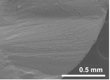 Figure 4. Fracture surface of the Zr60Cu16Ni14Al10 bulk glassy alloy tested at room temperature (SEM)