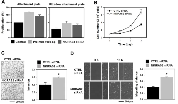 Figure 7: Downregulation of NKIRAS2 by miR-1908-5p is implicated in the oncogenic functions of SRSF3
