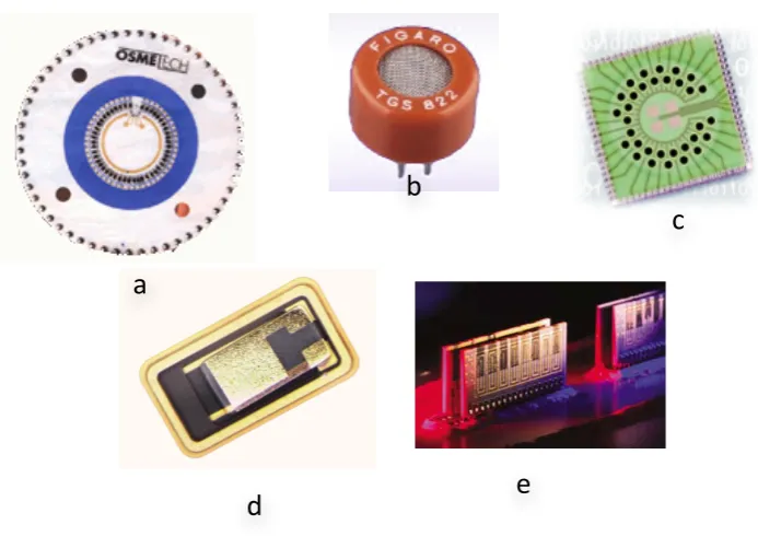 Figure   1.3:   Sensor   Technology.   a)   Osmetech   48   Conducting   Polymer   sensors   b)   Figaro   TGS   