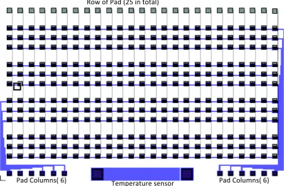 Figure   3.6:   Array   of   300   sensors   in   25   x   12   configuration   