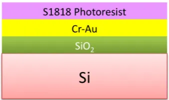 Figure   3.10:   UV   Light   exposed   through   Mask   1