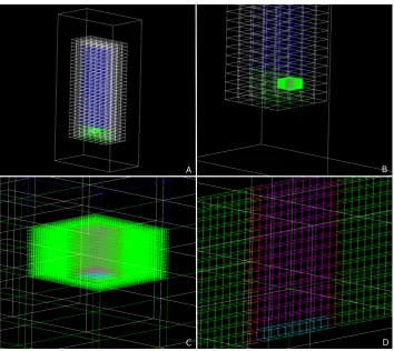 Figure 4. Wire frame representations of the D(vessel); (OSIVOX model for X5476 in the Tomb of Djer