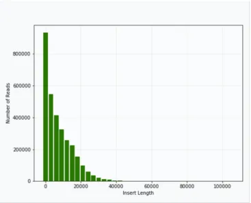 Figure 2. Figure 2. Distribution of insert lengths in the library fromDistribution of insert lengths in the library from  T