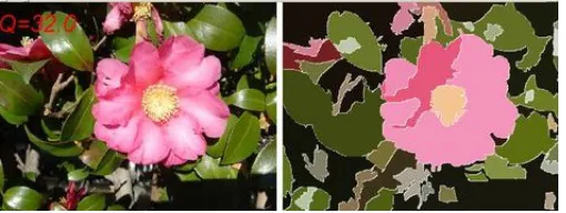 Fig. 1.1 A sample color image segmentation