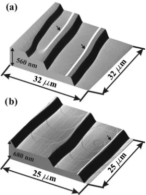 FIG. 1. Surface morphologies created on Si(111) by extended