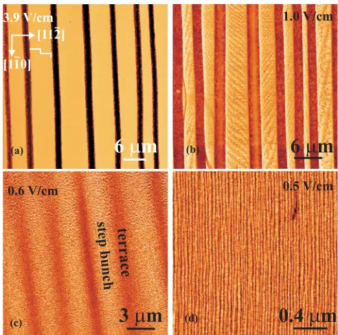 FIG. 3. (Color online) The width of the narrowest terrace seg-