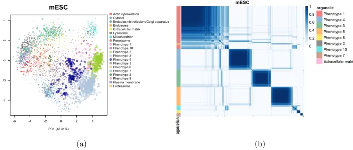 Figure 1: (a) PCA plot of the hyperLOPIT mESC dataset. Points are scaled according to the discovery probability