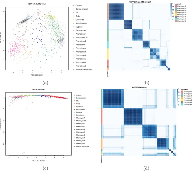 Figure 2: (a, c) PCA plots of the HCMV-infected broblast data 24 hpi and the mock