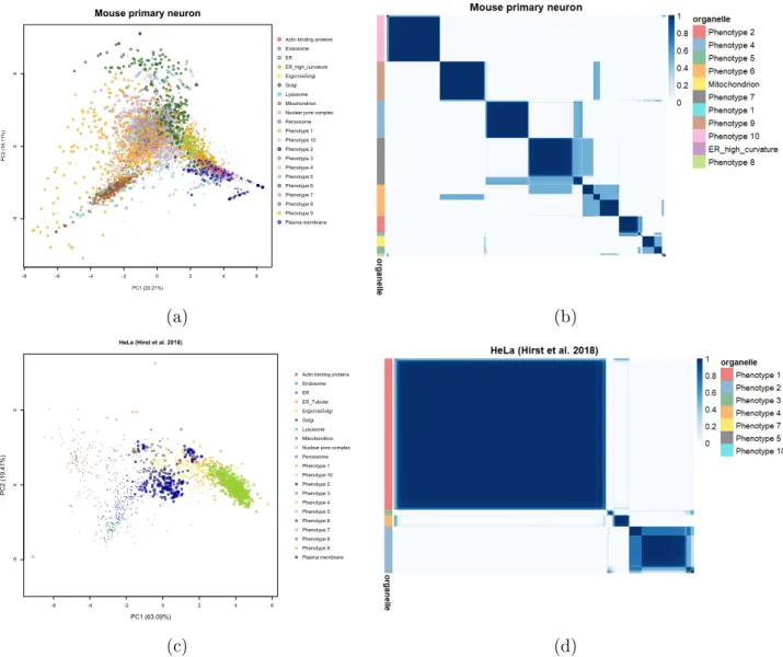 Figure 3: (a),(c) PCA plots of the mouse primary neuron data and HeLa Hirst data. The pointers are scaled according to their discovery probability