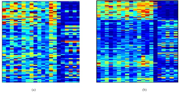 Fig. 5. Heat-maps of the 20 most frequent features selected from the Phillips data set on (a) Freije data; (b) Phillips data