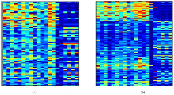 Figure 6. Heat-map of the 40 features selected from both the Freije and Phillips data sets on (a) Freije data (b) Phillips data