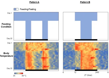 Figure 9. Heatmap-type chronograms based on body temperature data. 