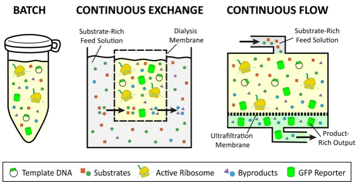 Figure 3.Figure 3. Comparison of batch, continuous flow, and continuous exchange reaction formats