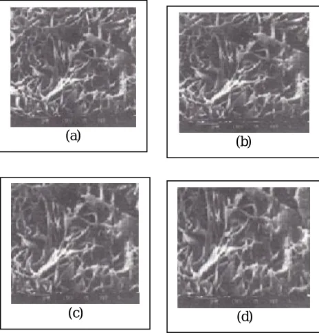 Table 2.   Influence of electrode thickness on various materials properties of CdS1-xSex (x = 0.1) photo electrode