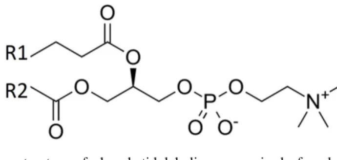 Figure 2.4 Typical molecular structure of phosphatidylcholines comprised of a glycerophosphoric acid and a  choline head group, with various kinds of fatty acids (R1 and R2 that can be saturated or unsaturated)