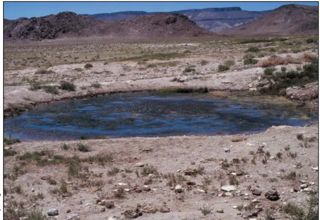 Figure B3. Coyote Hole, Nevada.
