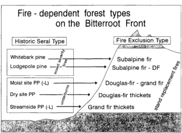 Figure  2-A  schematic representation of forest  zonation  on  the  Bitterroot  Range  west  of  Stevensville, MT