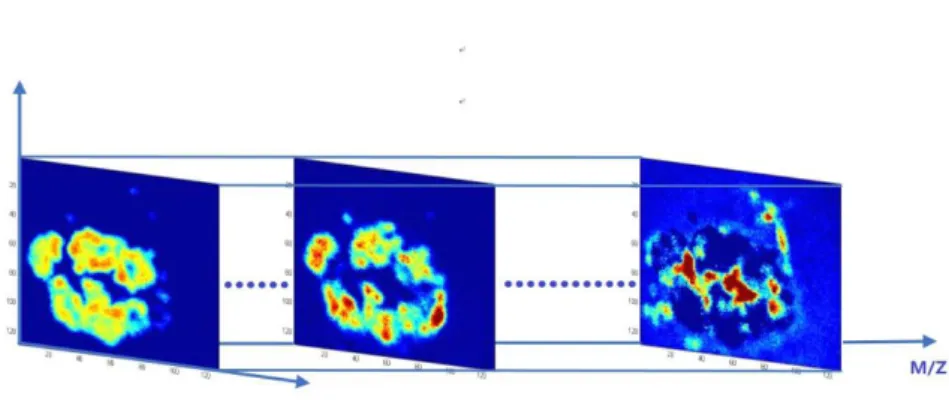 Figure 2.2 visualisation of the ToF-SIMS dataset. One ToF-SIMS image of 128 × 128 × 100