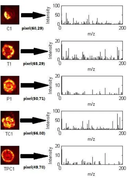Figure 3.2 Mass spectral data. For each sample dataset, one mass spectral plot can be created at  every pixel point