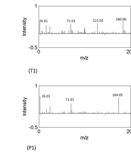 Figure 3.7 Scores and loading plots produced using PCA for T1 and P1 species samples. 