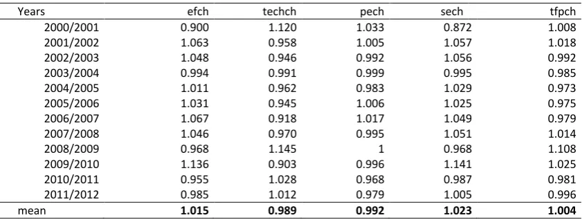 Table 4. Changes in Efficiency Scores 