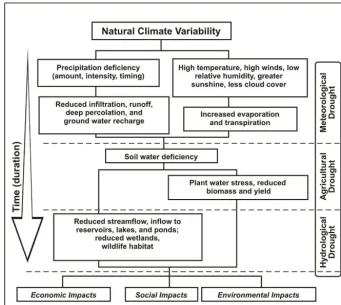 Figure 1. Sequence of drought occurrence and impacts for commonly accepted drought types