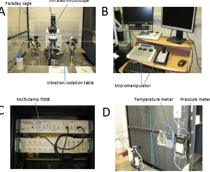 Fig. 2.1 Experimental setups. The panels illustrate the major instruments used inmy experiment, but there are some apparatus not shown here
