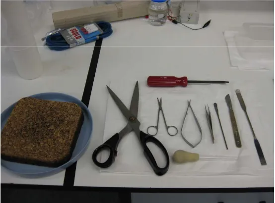 Fig. 2.2 Brain dissection tools and brain slice incubator. (A) The tools of dissection prepared according to the order they are used