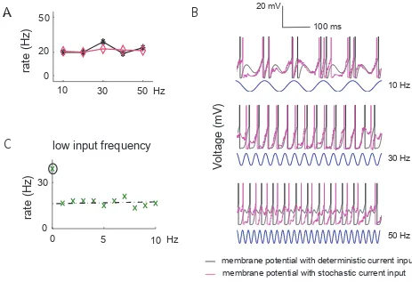 Fig. 3.2: Simulation results for single neurons with flat output firing rates. (without (black) noise