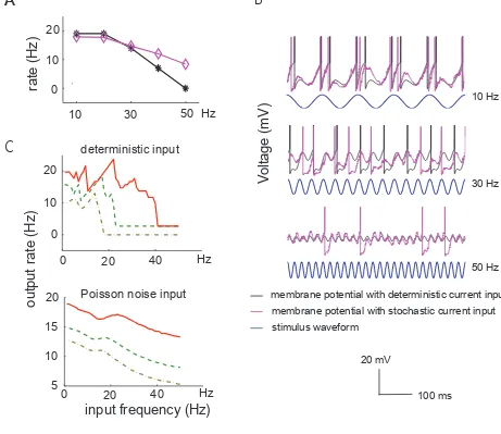 Fig. 3.3: Simulation results for neurons with decreasing output firing rate. (potential responses of the integrate-and-fire model at different input frequencies (top: F = 10 Hz; middle: F = 30 Hz; bottom: F = 50 Hz) when noise was absent (black) or present