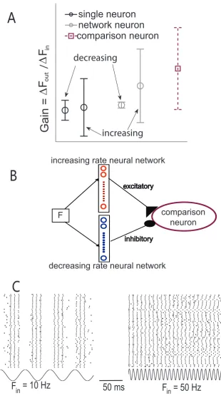 Fig. 3.7: Illustration of the properties and behavior of the comparison neuron in the model