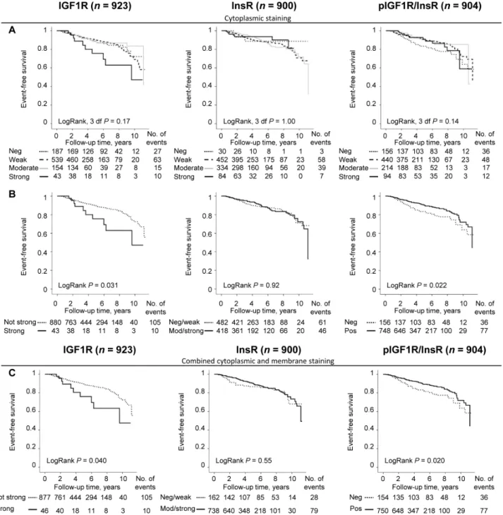 Figure 2C). Multivariable analysis revealed that pIGF1R/