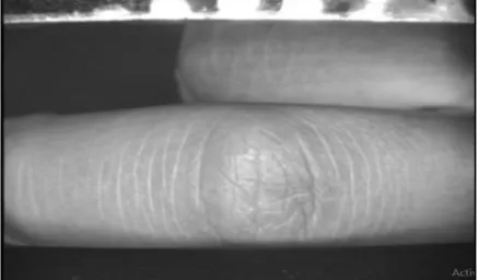 Fig 1.Finger knuckle print image for input.