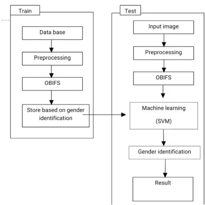 Fig 2. General Block diagram of gender classification with FKP using OBIFs.   