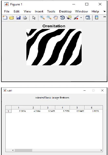 Fig 5.Orientation basic image features of knuckle image 