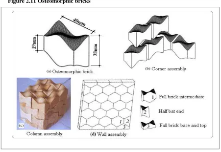 Figure 2.11 Osteomorphic bricks 