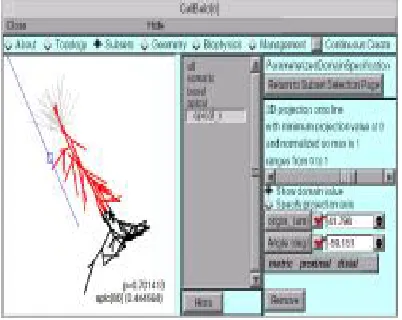 Figure 1  NEURON cell builder window