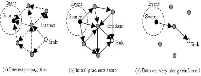 Fig. 3 Directed diffusion protocol phases Rumor routing is another variation of Directed Diffusion and is mainly intended for contexts 