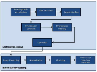 Figure 1.3: Processing pipeline for a typical microarray experiment.