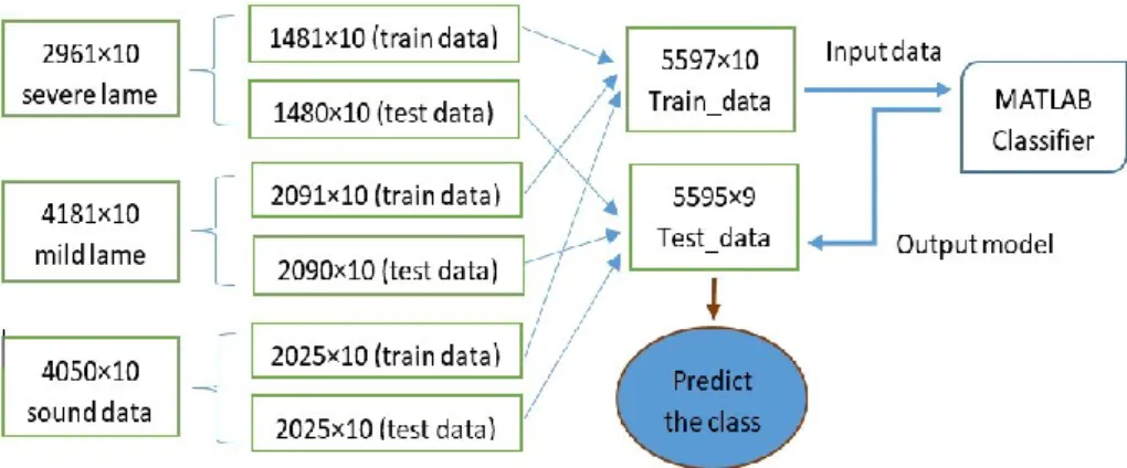 Fig. 3. Raw data preparation for ML classifier. 