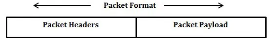 Figure 2.2: Packet Format
