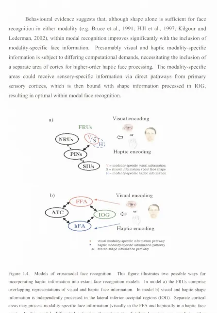 Figure 1.4. 
