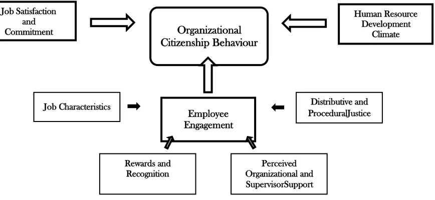 Figure 1: Conceptual Model of Predictors of OCB 