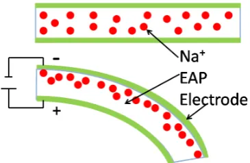 Figure 2.6: DC motors, operation principle (left) and example motor (right).