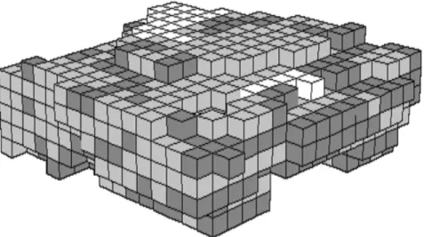 Figure 2.5: Three-dimensional geologic block model representation of blocks (cubes) in a deposit
